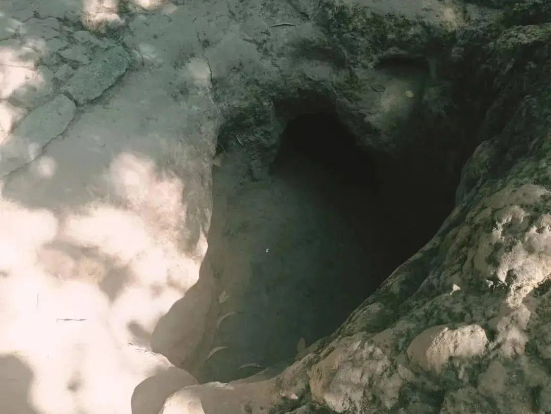 安岳天气_安岳到遂宁的汽车票价_安岳