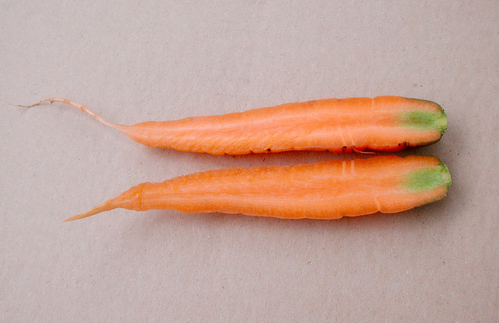 中国第一文山——天井湖公园