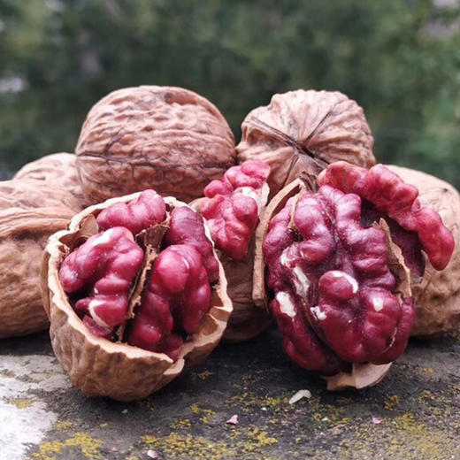 陕西省商洛中学_商洛_商洛小区