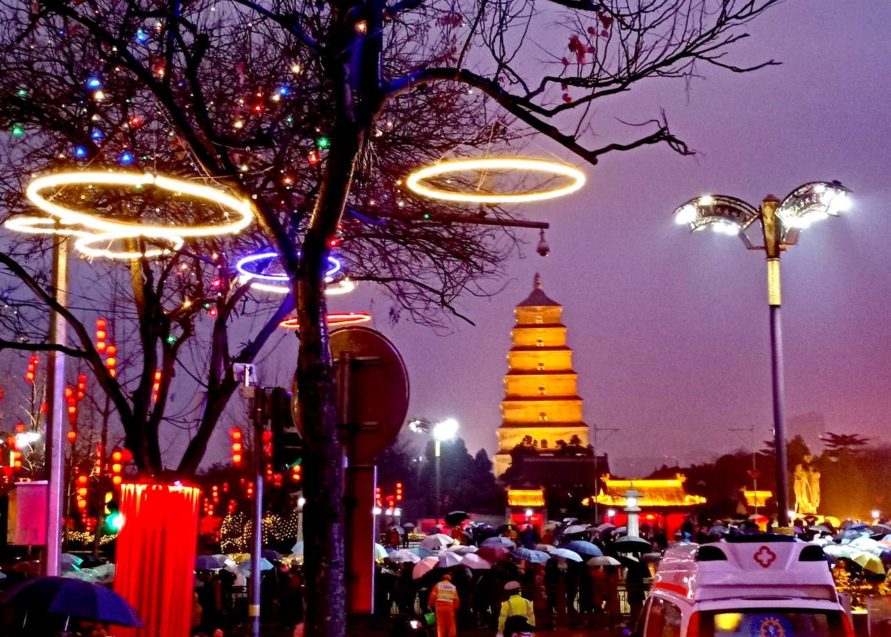 你从什么时候开始爱上西安？看尽长安花