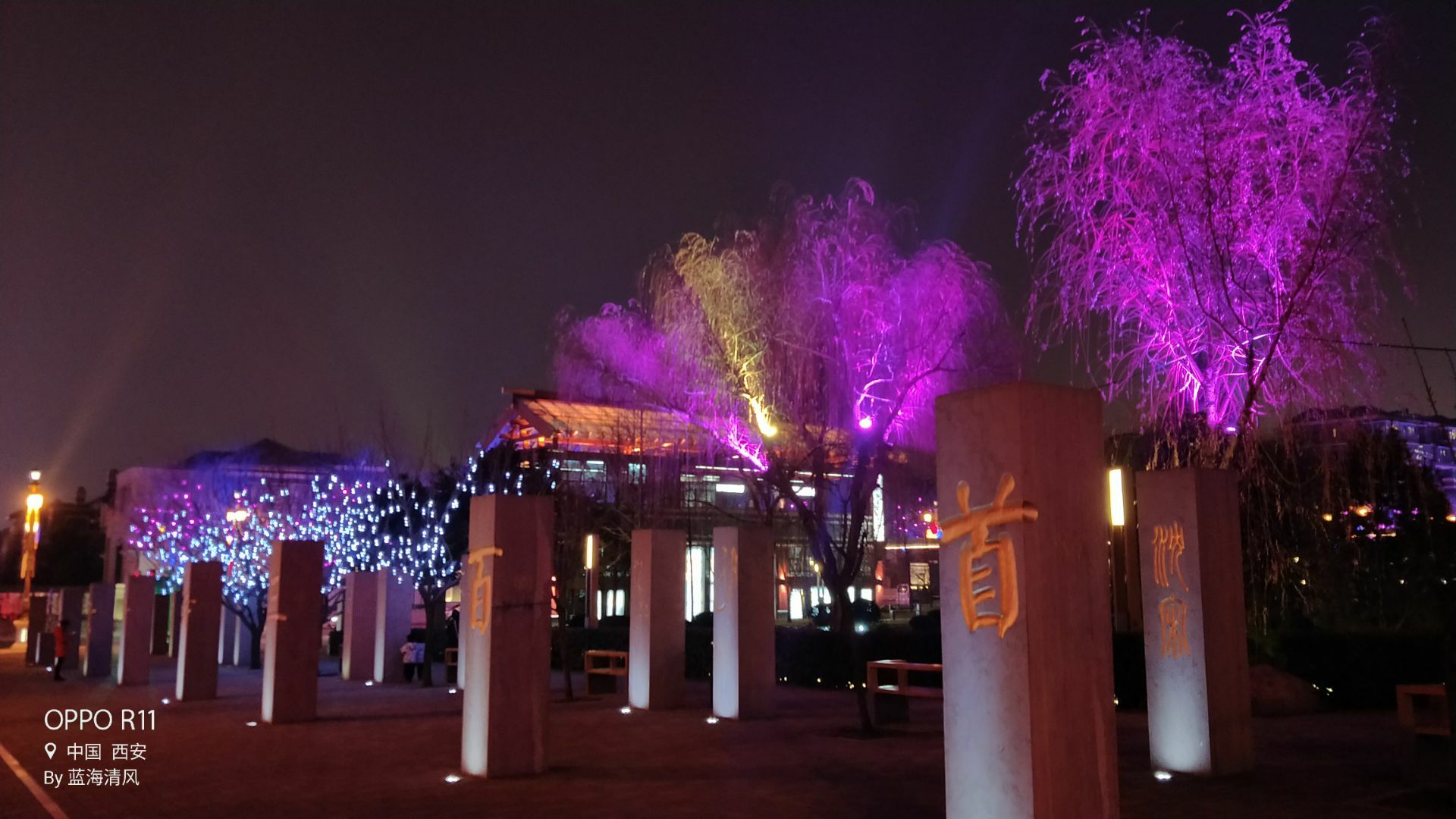 你从什么时候开始爱上西安?看尽长安花(图3) 西安天气_西安_西安