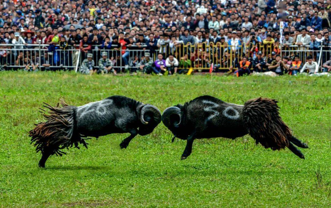 凉山彝族自治州与巴中市的彝族文化底蕴