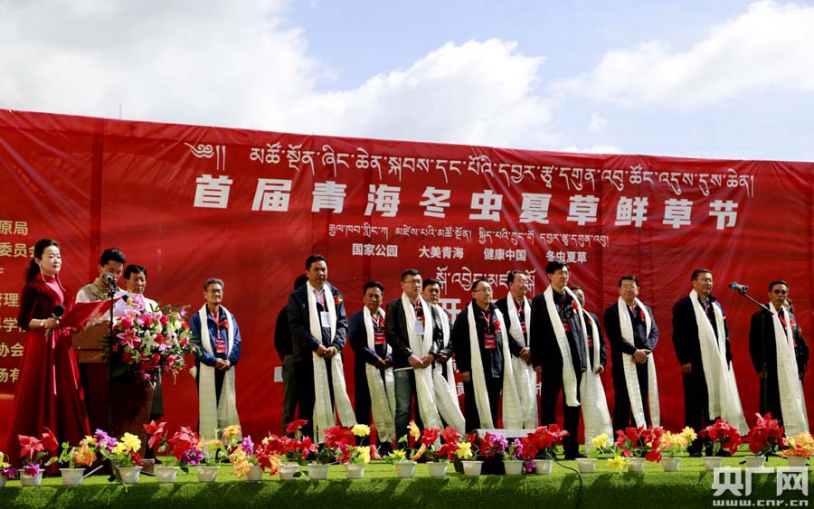 那曲羌塘恰青格萨尔赛马艺术节暨那曲魅力虫草节开幕(图1) 那曲市_那曲海拔_那曲