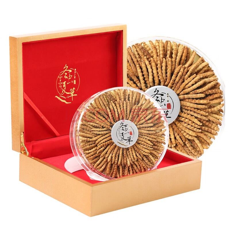 那曲羌塘恰青格萨尔赛马艺术节暨那曲魅力虫草节开幕(图2) 那曲市_那曲_那曲海拔