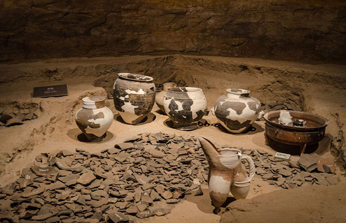 2017年国家公务员考试行测:常识储备二条