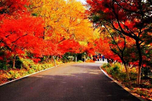 本溪二手房_本溪到本溪水洞汽车_本溪