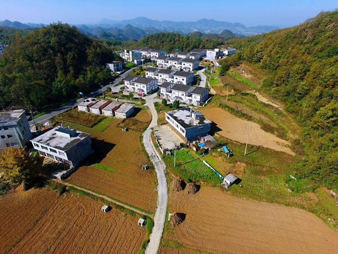 永新_永新视频_永新在线