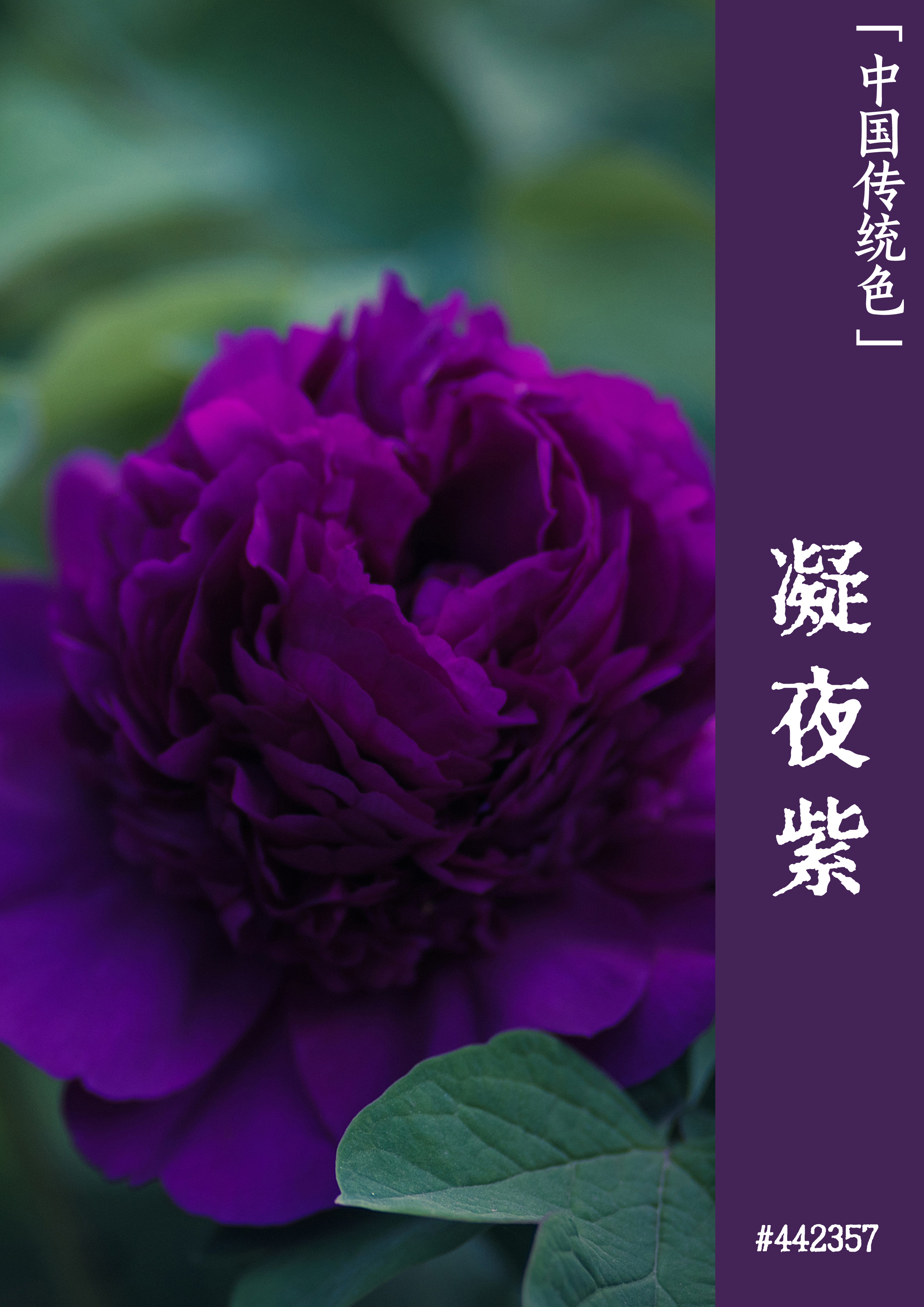 天门_天门新闻_天门天气