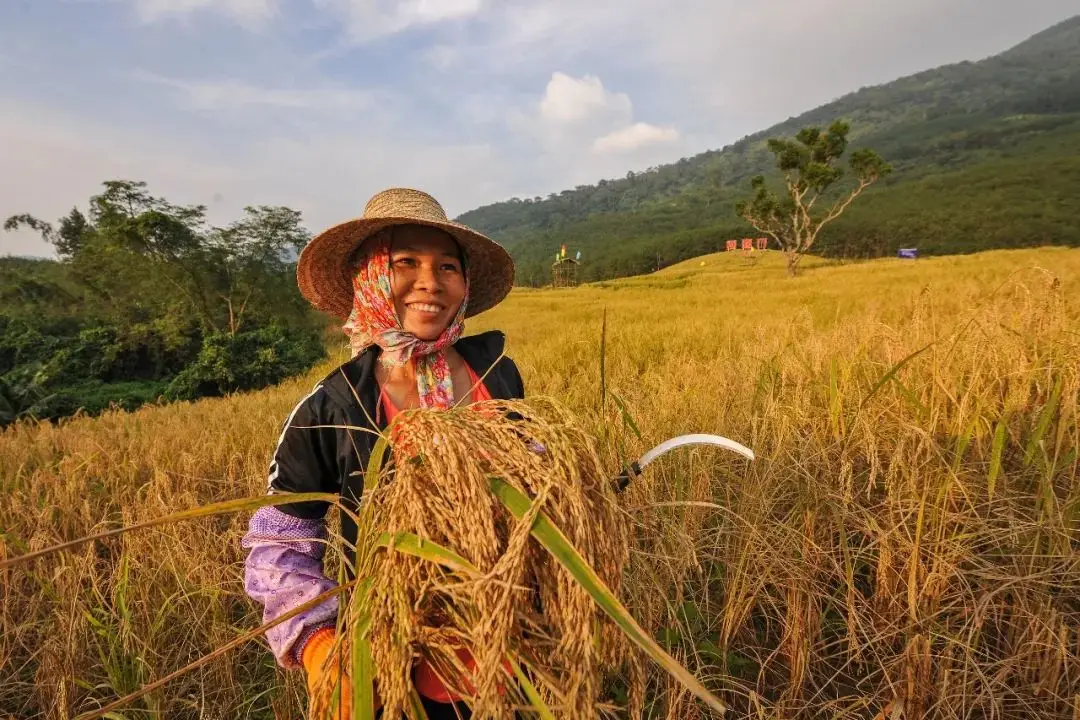 依托绿色资源发展绿色产业打造中部绿色崛起试验示范区