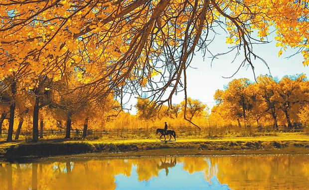 琼中租房_琼中_琼中旅游景点