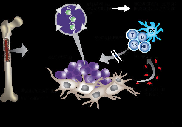 研究发现英语_研究发现：_研究发现：