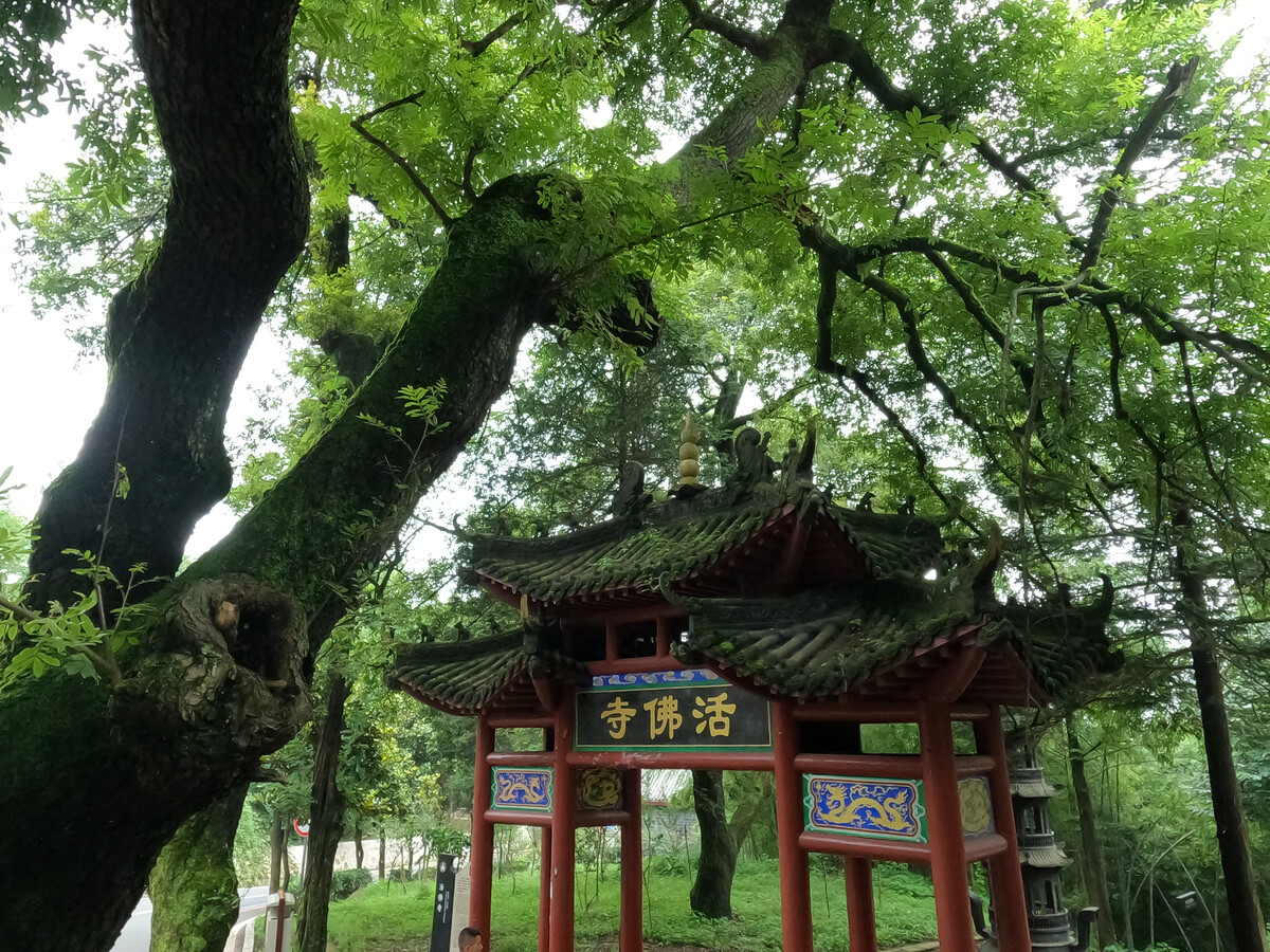 河南信阳的口音和豫北有一定的差距,你知道吗?(图2) 信阳红茶_信阳_信阳到信阳东站