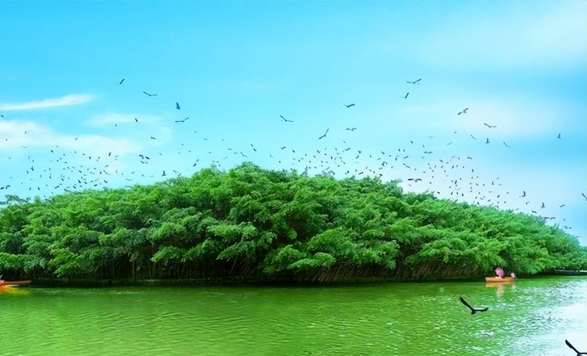 娱乐圈中最具专一的明星，有你吗？