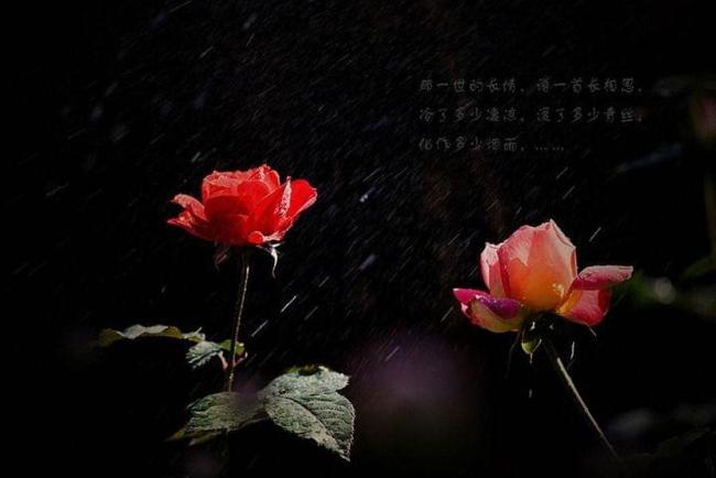 跨界电商：_跨境电商是做什么的_跨界电商平台有哪些平台