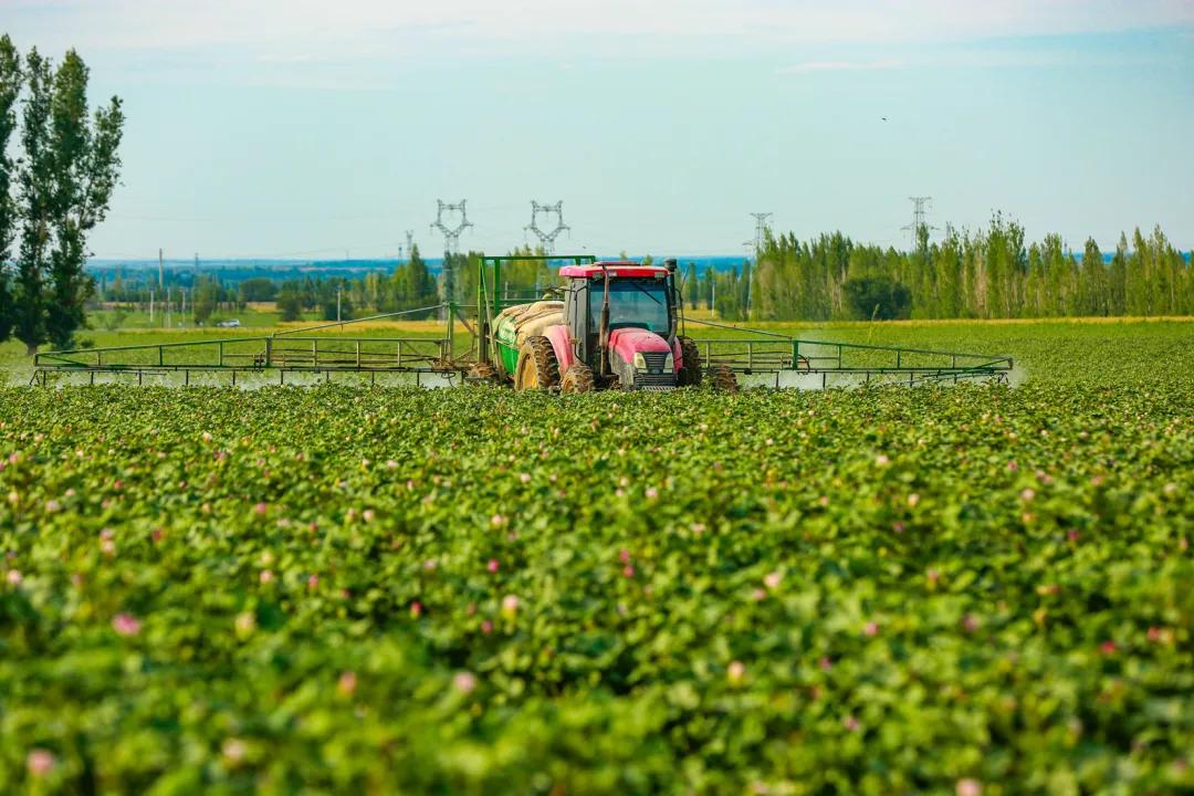 阿克苏市柳源镇祥和村农民驾驶一体式精量播种机播种棉花(图3) 阿克苏二中_阿克苏_阿克苏医院