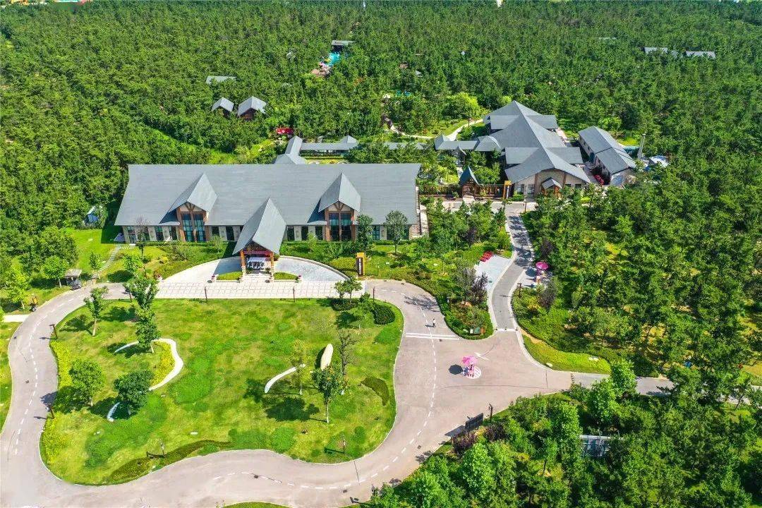 写给1-2月想去威海旅游的53条建议(图2) 定州_定了:_定坤丹的功效和作用