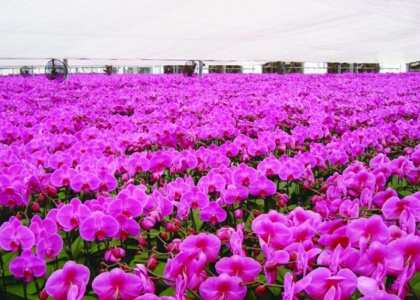 肇庆天气_肇庆_肇庆旅游景点