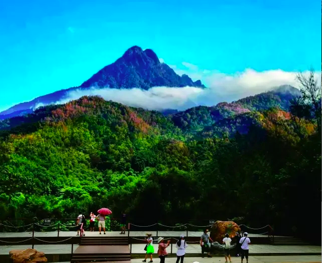 我爱五指山,我爱万泉河,红军曾在树下点篝火