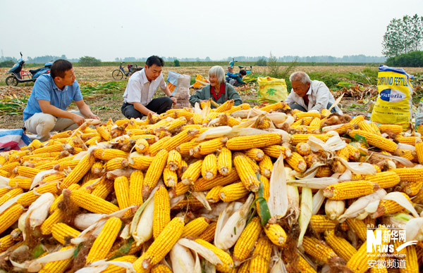 淮阳县工商联驻安岭镇举办“农民夜校”开班
