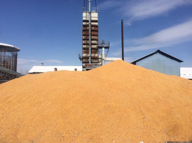 8日公主岭市发布“德行天下公主岭”城市品牌