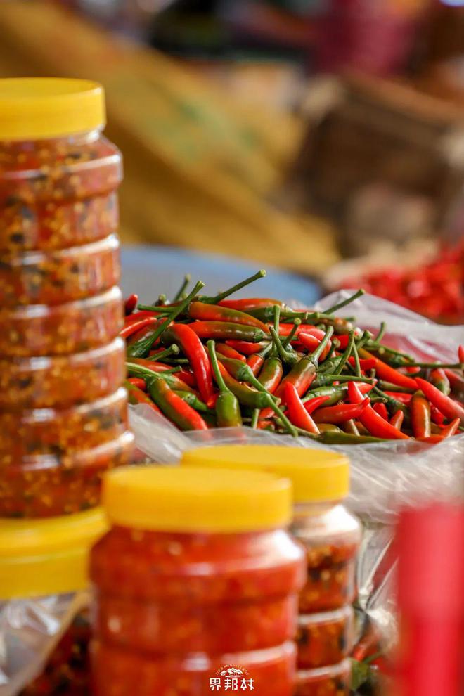 遵义_遵义到遵义机场_遵义天气