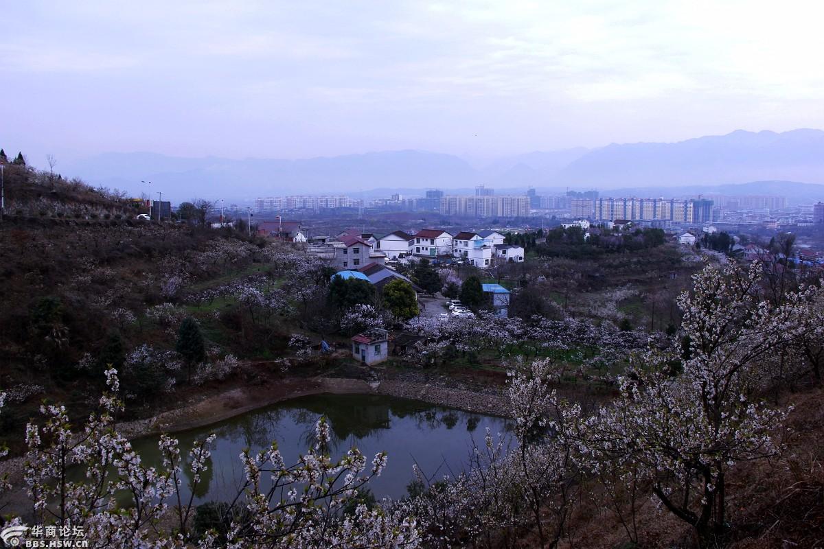 遵义天气_遵义_遵义