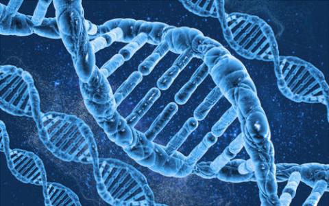 不孕不育_不不育不孕_育不孕医院哪家好