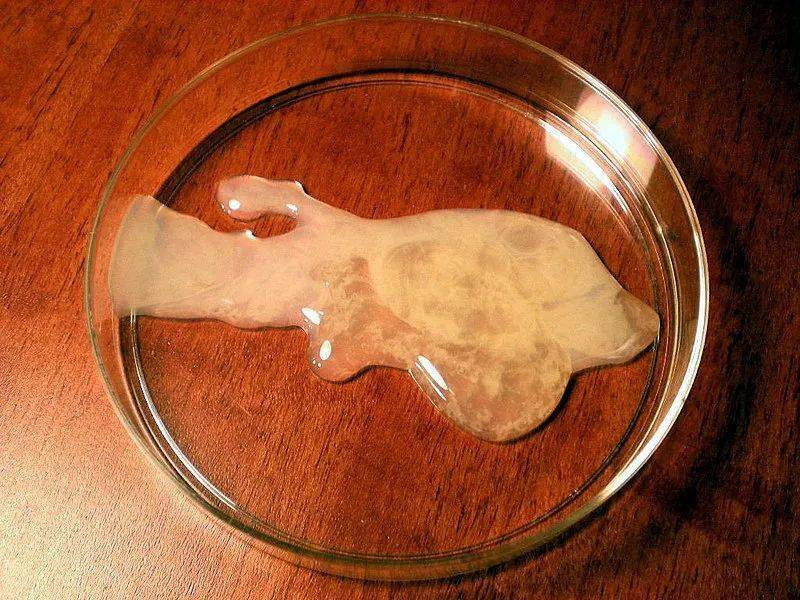 育不孕医院哪家好_不不育不孕_不孕不育