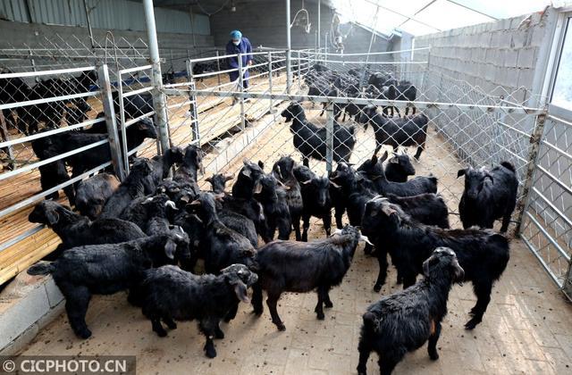 江西省人民政府令第205号第一次修正年