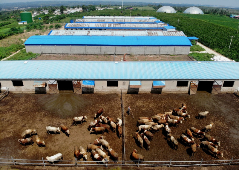 农业农村部办公厅关于继续开展畜禽养殖标准化示范创建活动的通知