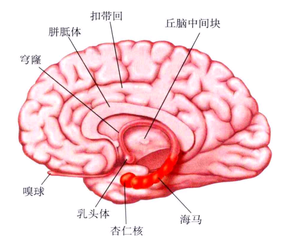 研究发现：_研究发现：_研究发现英语
