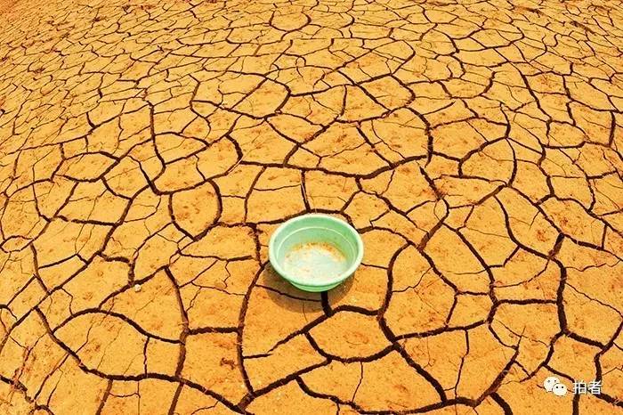 热带太平洋7年来首次形成厄尔尼诺条件提醒农业防灾减灾