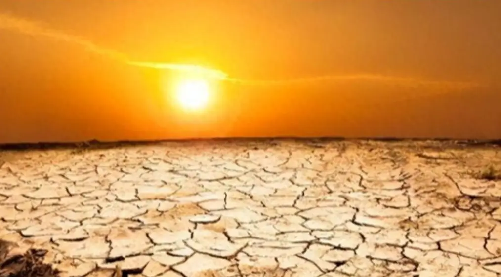 农林牧副渔服务业_农林牧副渔_农林牧副渔企业