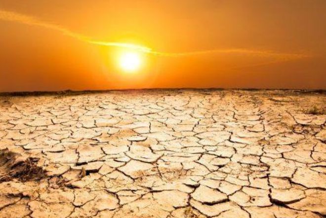 农林牧副渔服务业_农林牧副渔企业_农林牧副渔