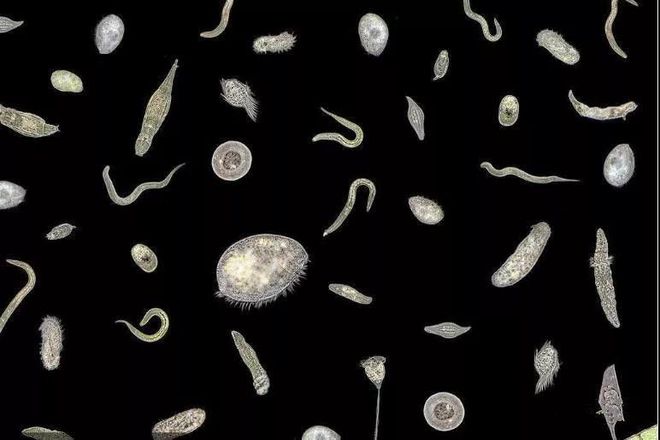 惨烈是什么意思_惨烈车祸现场照片_惨烈