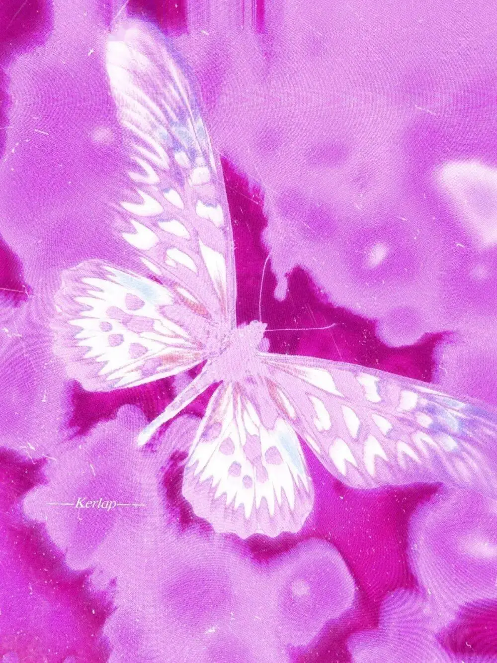 风水堂:梦见蝴蝶飞入家中当你(图3) 周公解梦:_解梦周公免费_解梦周公解梦大全七星彩