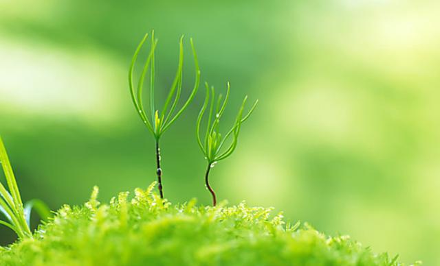 解梦周公免费_解梦周公解梦大全免费查询_周公解梦：