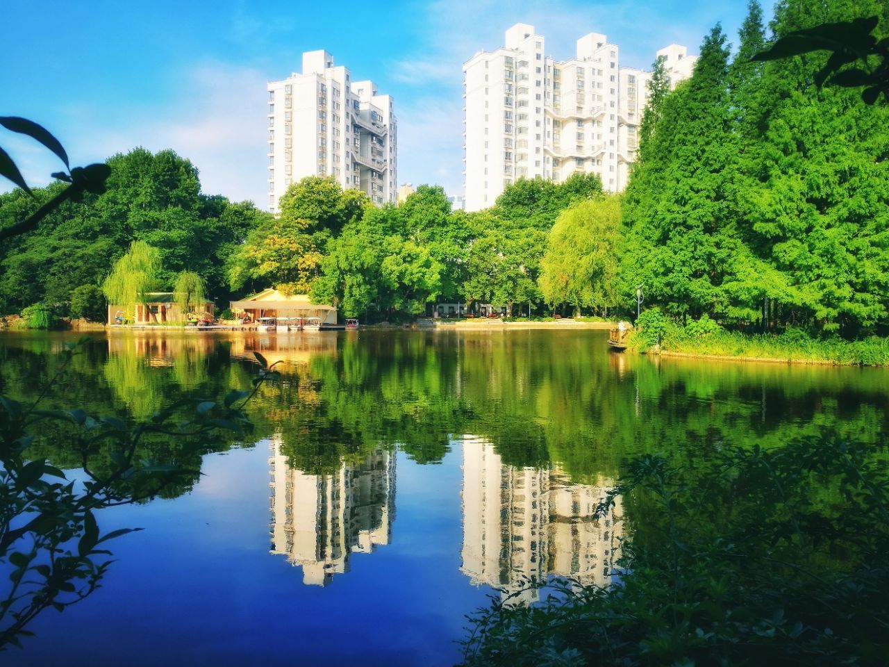 天山一条街的前世今生只有老底子的长宁人才道得清