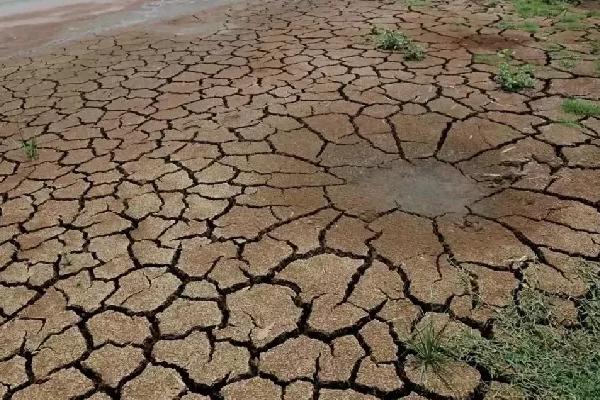 养殖畜禽的注意事项_畜禽养殖_养殖畜禽注意卫生