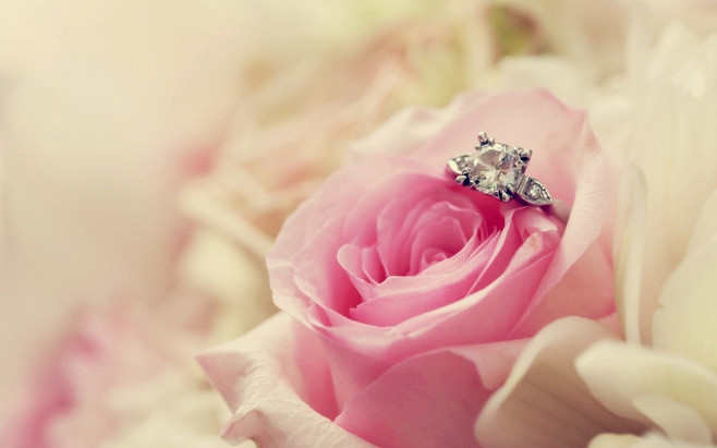 当地美食_美食当地人戏称_美食当地文化英文