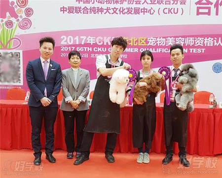 如何选择专业的宠物美容培训学校呢？