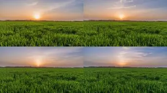 年湖南衡阳中考作文题目：懂得鲁迅与藤野先生的交往