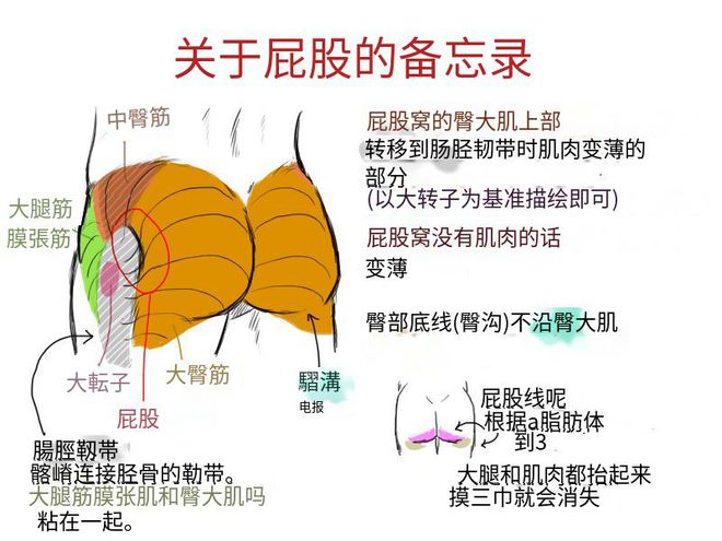 健身教练_健身教练_健身教练