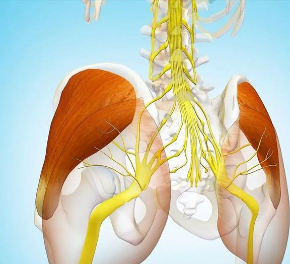 健身教练_健身教练_健身教练