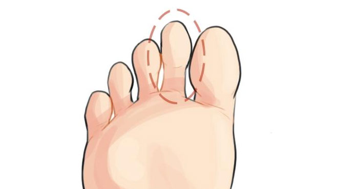 生肖运势_生肖_生肖卡