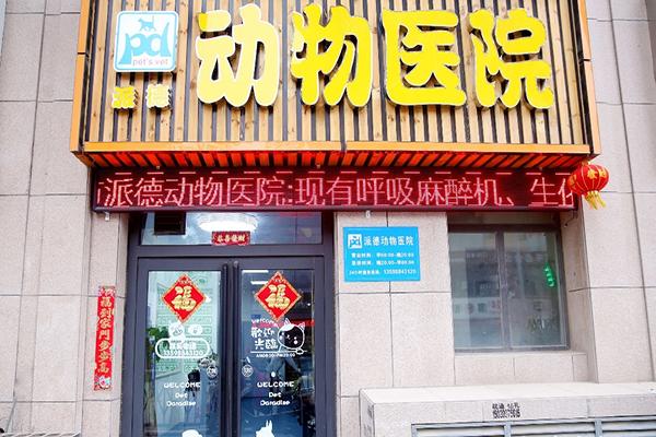 难躲的宠物看病“刺客”手术费平均5000元