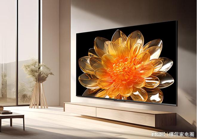 家电_博世家电和西门子家电_家电家电进口网