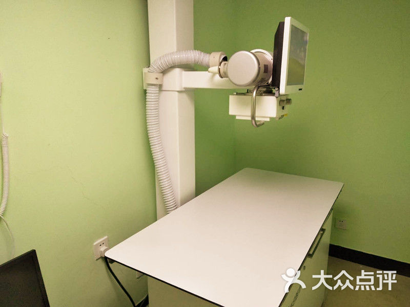 开宠物医院需要什么设备，有哪些科室设置呢？