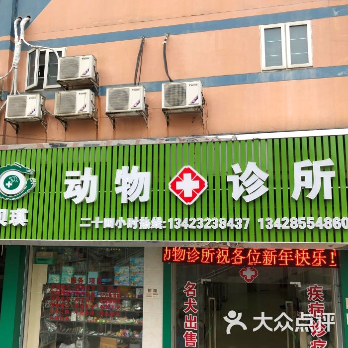 宠物医院_宠物医院在线问诊_宠物医院附近