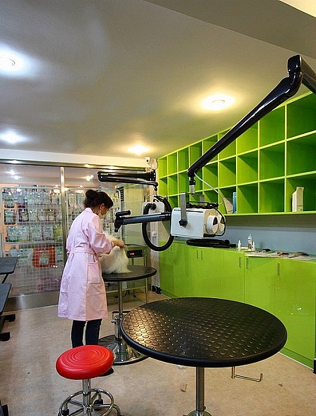 宠物医院_宠物医院附近_宠物医院在线问诊